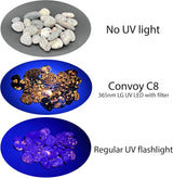 Convoy C8 + 365nm UV LED Flashlight with Patented Glass Filter